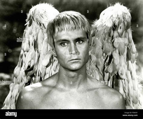 John Phillip Law