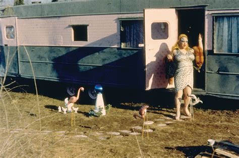 John Waters Flamingo