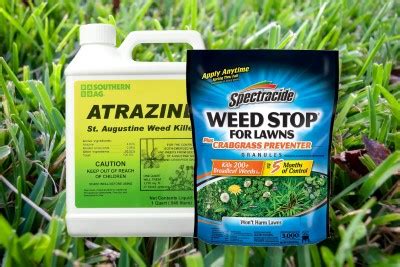 johnny thrust porn best weed killer for st augustine grass