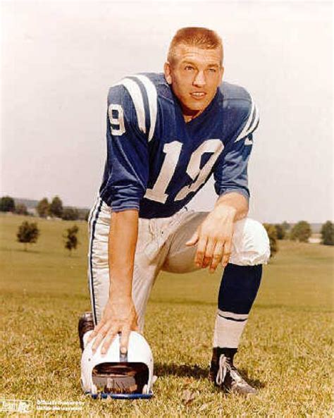 johnny unitas biography summary of 10