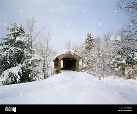 johnson vermont