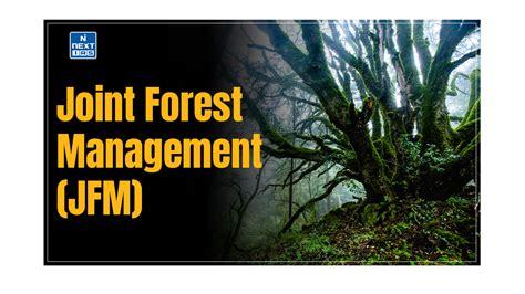 Joint Forest Management