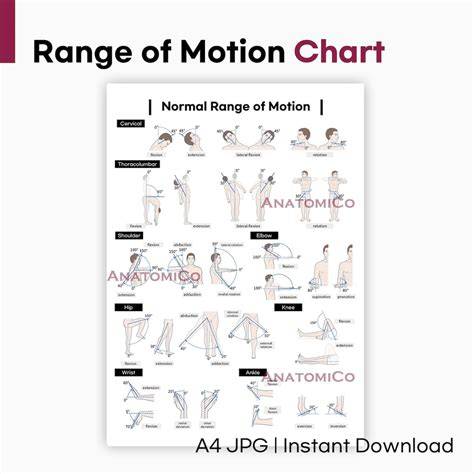 joint range of motion chart
