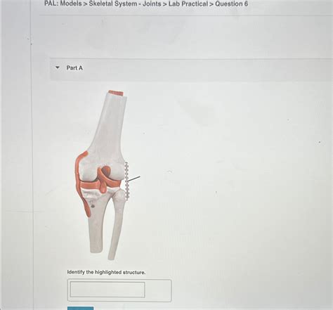 Download Joints Lab Answers 