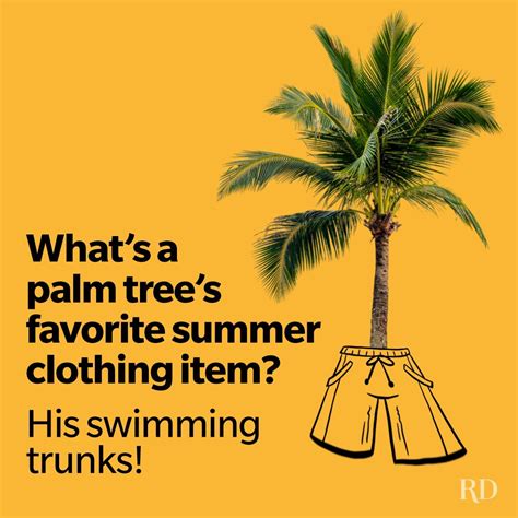Jokes About Summer