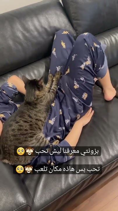 jon100m | Senar Pancing Dae jon 100m Alat Pancing