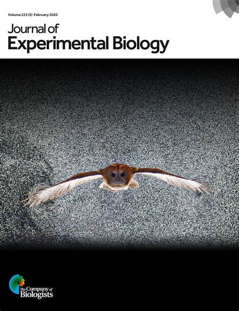 journal of experimental biology endnote
