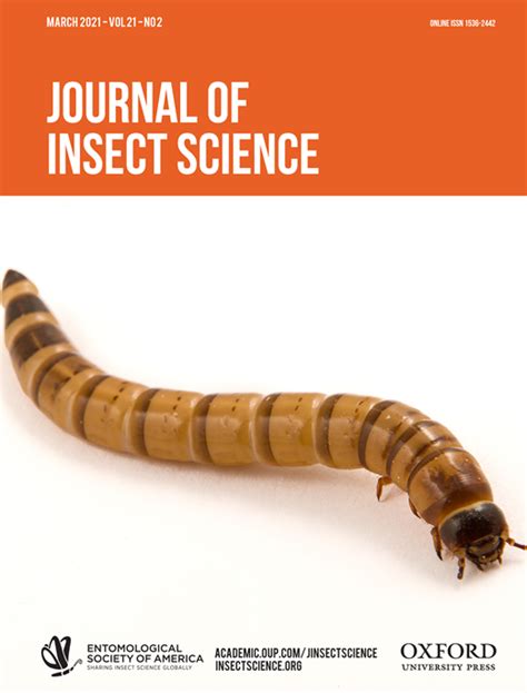 Journal Of Insect Science Indian Society For The Science Insects - Science Insects