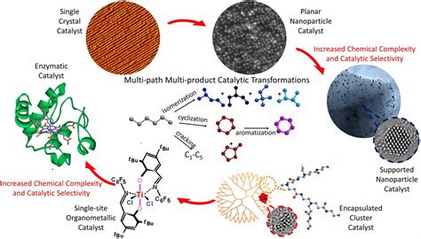 journal of molecular catalysis b enzymatic researchgate