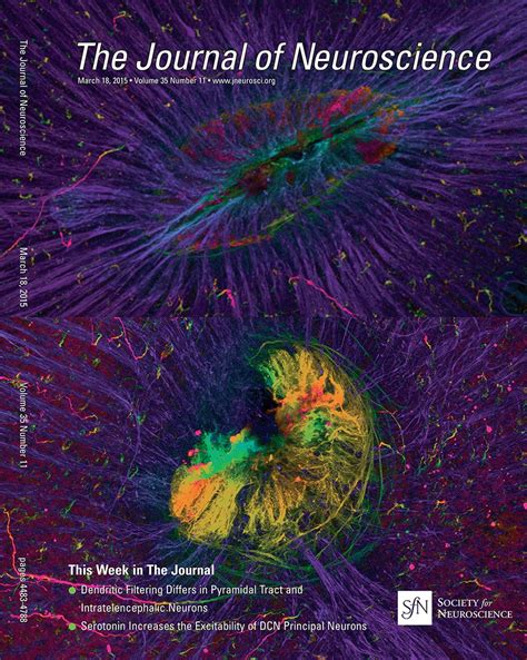 Download Journal Of Neuroscience Club 