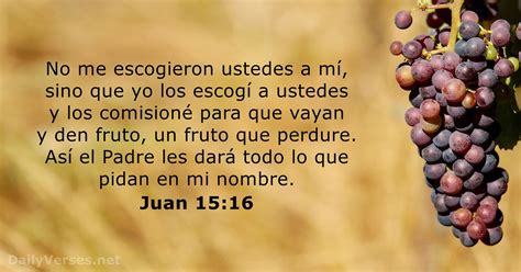 Juan 15 16