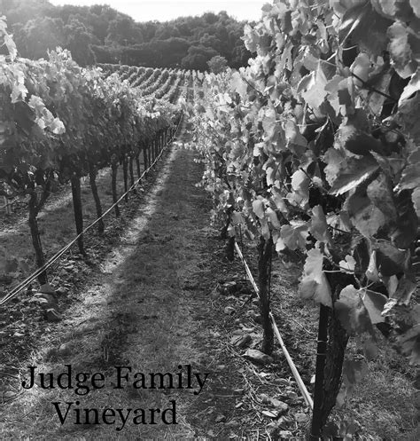 judge vineyard biography