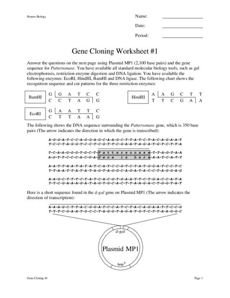 July Worksheets Cloning Worksheet Answer Key - Cloning Worksheet Answer Key