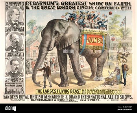 Jumbo The Elephant