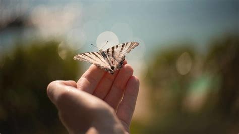 jun88 | JUN88 Portal Resmi Tamu SMA Negeri 5