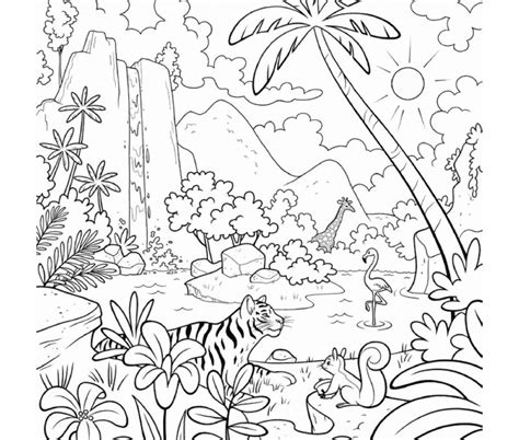 Jungle Amp Rainforest Coloring Sheets Teacher Made Twinkl Rainforest Animals Coloring Sheets - Rainforest Animals Coloring Sheets
