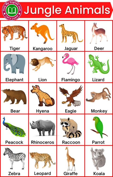 jungle animals