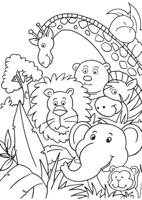 Jungle Animals Colouring Pages Junior And Senior Infants Rainforest Animals Colouring Pages - Rainforest Animals Colouring Pages