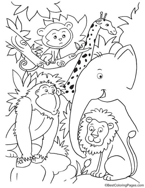 Jungle Animals Online Coloring Pages Thecolor Com Jungle Pictures To Colour - Jungle Pictures To Colour