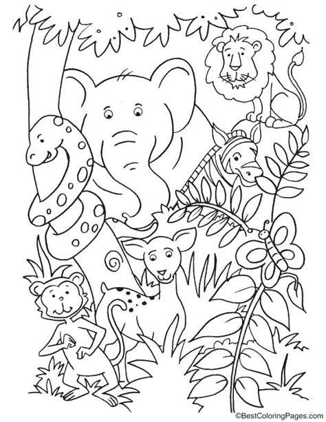 Jungle Animals Printable Coloring Page Download Print Or Printable Jungle Animals Coloring Pages - Printable Jungle Animals Coloring Pages