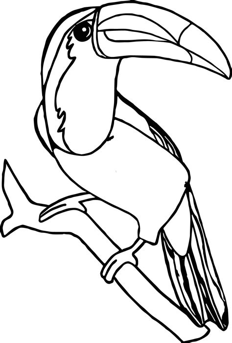 Jungle Bird Coloring Page A Free Nature Coloring Jungle Animal Coloring Pages Printable - Jungle Animal Coloring Pages Printable