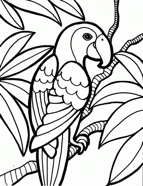 Jungle Coloring Pages World Of Printables Jungle Pictures To Colour - Jungle Pictures To Colour