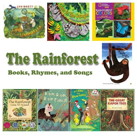 Jungle Kidssoup Kindergarten Rainforest - Kindergarten Rainforest