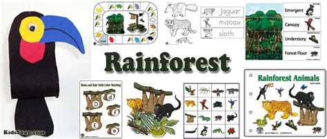 Jungle Kidssoup Rainforest Kindergarten - Rainforest Kindergarten