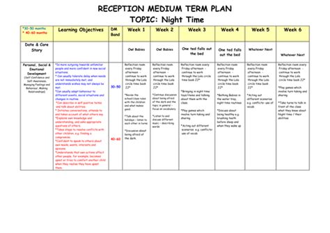 jungle medium term planning reception
