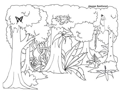Jungle Tree Coloring Page At Getcolorings Com Free Jungle Tree Coloring Page - Jungle Tree Coloring Page