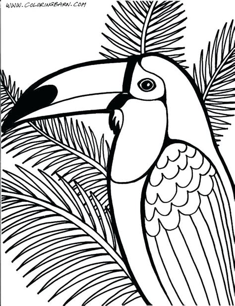 Jungle Tree Coloring Page At Getdrawings Free Download Jungle Tree Coloring Page - Jungle Tree Coloring Page