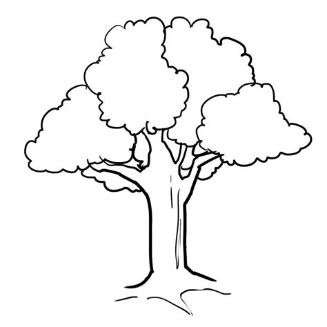 Jungle Tree Coloring Page   Tree Coloring Pages Free Amp Printable - Jungle Tree Coloring Page