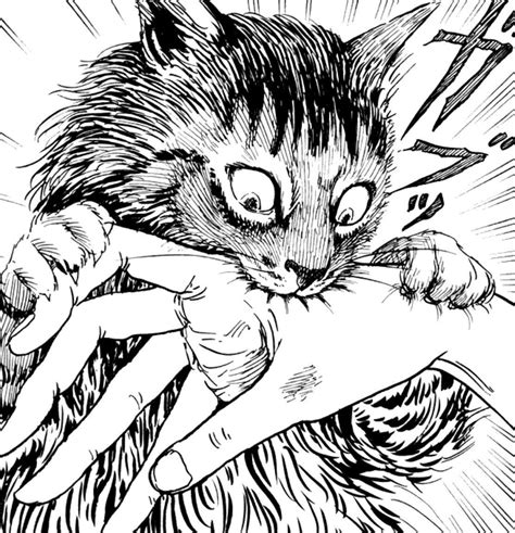 Junji Ito Cat