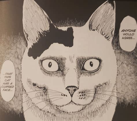 Junji Itos Cat Diary Yon Mu 01