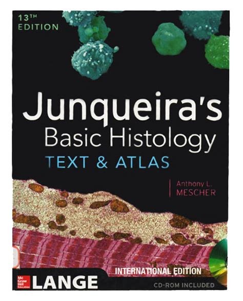 Junqueira Basic Histology 13th Edition