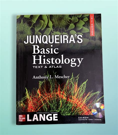 Read Online Junqueira Basic Histology 13Th Edition 