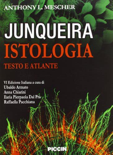 Read Online Junqueira Istologia Testo E Atlante 