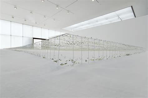 Junya Ishigami How Small How Vast How Architecture Grows