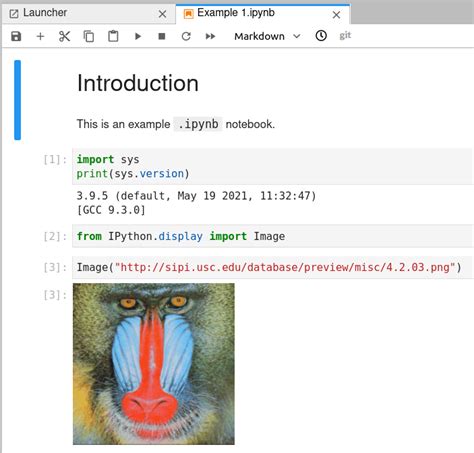 Full Download Jupyter Notebook Documentation Read The Docs 