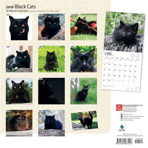 Read Just Black Cats 2018 Calendar 