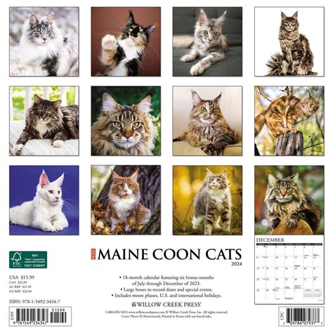 Read Online Just Maine Coon Cats 2018 Wall Calendar 