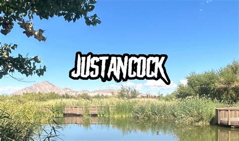 justancock