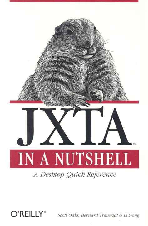 Read Jxta In A Nutshell 