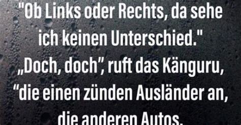 känguru die einen zünden ausländer an die anderen autos