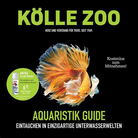 kölle zoo angebote katze