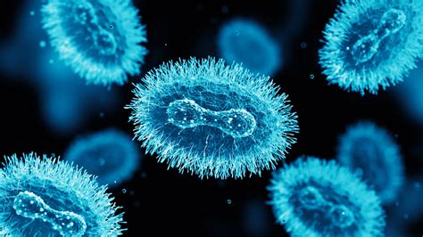 könssjukdomar virus