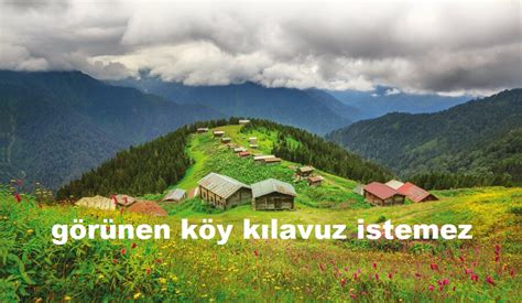 veodersti.rgarabwor.edu.pl. 