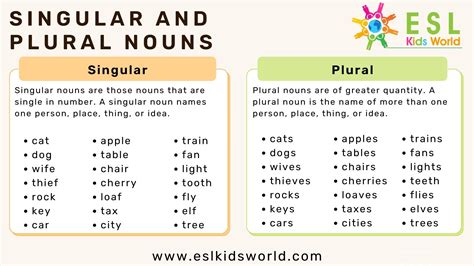 K12 Grade 1 English Plural And Singular Youtube Singular And Plural For Grade 1 - Singular And Plural For Grade 1