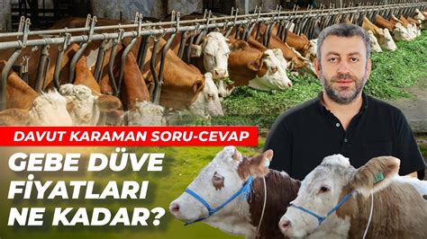 kaburga Gebe Soru Cevap.