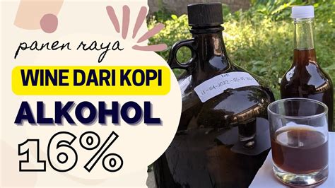 KADAR ALKOHOL WINE：8 Jenis Minuman Alkohol Berikut Kadar ABV Yang Tepat Untukmu -